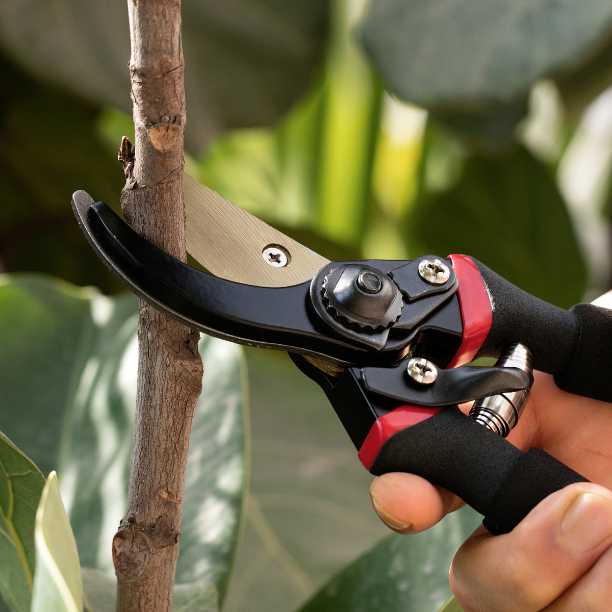 Mr. Pen Professional Pruning Shears Titanium Blade 20.3cm