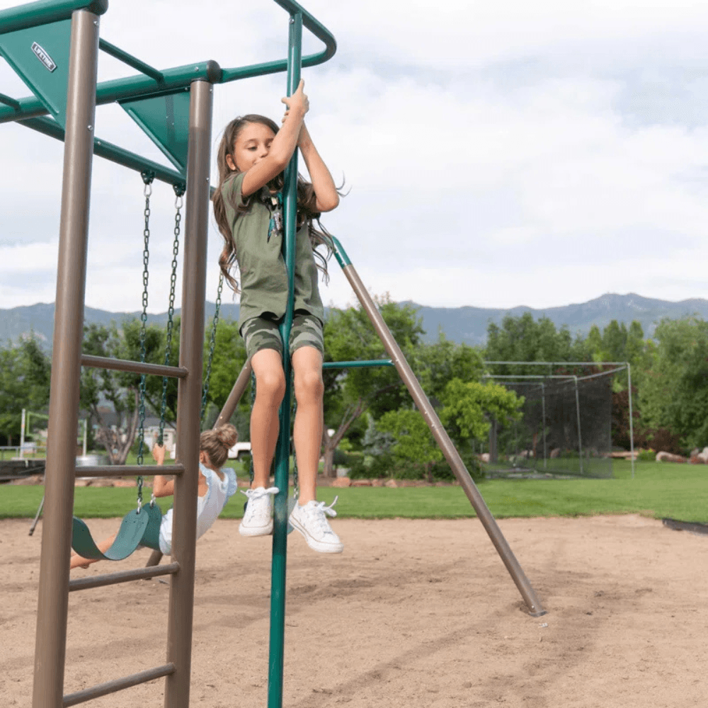 Lifetime Powder-Coated Steel Swing Set Playset